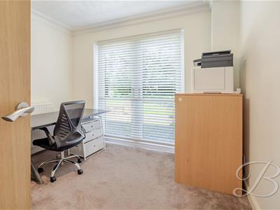 Picture 23